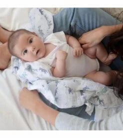 Aden + Anais Classic Swaddle Wraps, 4 Pack - Rising Star 12 Aden + Anais Classic Swaddle Wraps, 4 Pack - Rising Star -Baby Products Store aden anais classic swaddle wraps 4 pack rising star 128