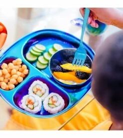 Ahimsa Stainless Steel Balanced Bites Plates (Set Of 4) - Iridescent Blue -Baby Products Store ahimsa stainless steel balanced bites plates set of 4 iridescent blue 118