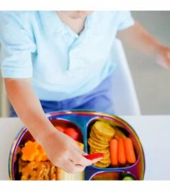 Ahimsa Stainless Steel Balanced Bites Plates (Set Of 4) - Rainbow -Baby Products Store ahimsa stainless steel balanced bites plates set of 4 rainbow 119