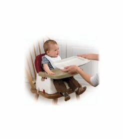 Baby Products Store -Baby Products Store fisher price healthy care deluxe portable booster chair p0278 61