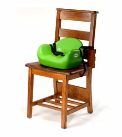 Baby Products Store -Baby Products Store keekaroo cafe portable booster chair lime 73