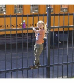 Klean Kanteen Kid Classic Sport Bottle, 12 Oz - Sparkling Grape -Baby Products Store klean kanteen kid classic sport bottle 12 oz sparkling grape 112