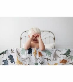 Little Unicorn Cotton Muslin Swaddle 3 Pack - Dino Friends 2 Set -Baby Products Store little unicorn cotton muslin swaddle 3 pack dino friends 2 set 141