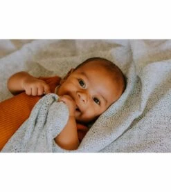 Little Unicorn Cotton Muslin Swaddle 3 Pack - Summer Poppy 2 Set -Baby Products Store little unicorn cotton muslin swaddle 3 pack summer poppy 2 set 136