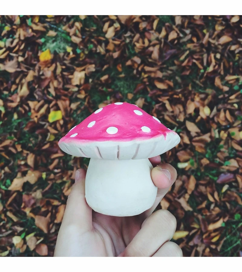 Oli & Carol Sprout The Mushroom Bath Toy 4 Oli & Carol Sprout The Mushroom Bath Toy - Image 2